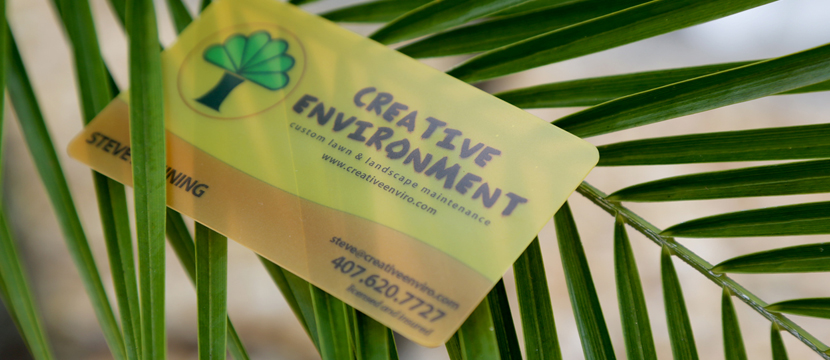 Creative Environment Clear Business Cards
