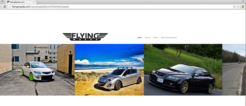 Website Development
